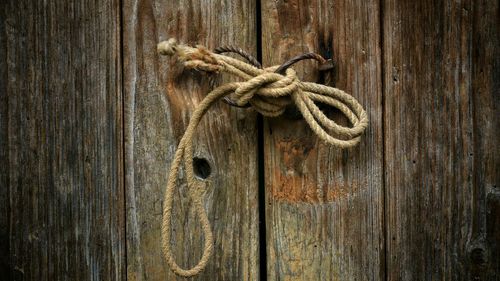 Rope tied up of wooden fence