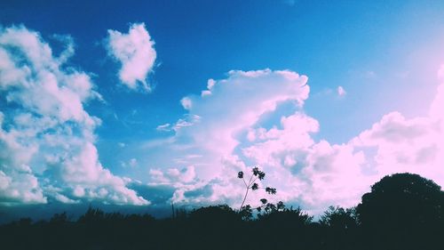 Low angle view of silhouette trees against blue sky