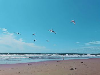 Birds flying over beach against sky