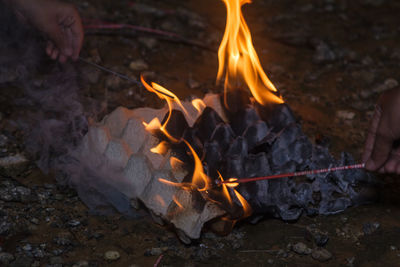 Campfire burning in fire