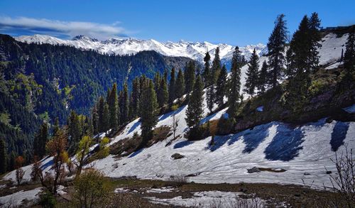 Scenic view of tree mountain during winter