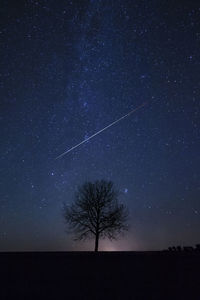 Silhouette tree against clear sky at night