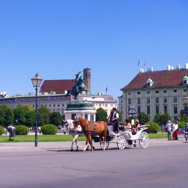 clear sky, men, building exterior, domestic animals, architecture, built structure, person, lifestyles, walking, animal themes, mammal, street, copy space, horse, road, transportation, leisure activity, blue, full length