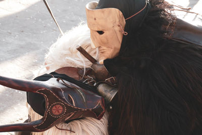 High angle portrait of woman with horse outdoors