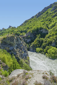 Sunny scenery at the kawarau river at the south island in new zealand