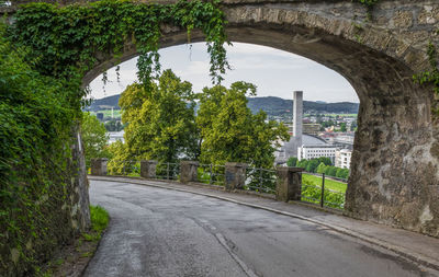 Arch bridge amidst trees and buildings in city
