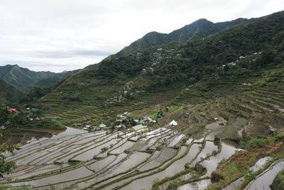 Rice terraces philippines