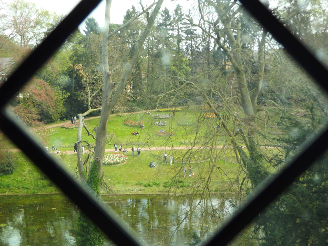 SCENIC VIEW OF TREES SEEN THROUGH FENCE