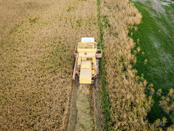 High angle view of agricultural field