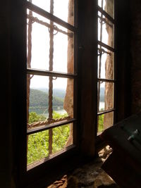 Trees seen through window of abandoned house