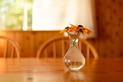 Close-up of flower in glass vase on table