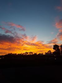 Silhouette trees against sky during sunset