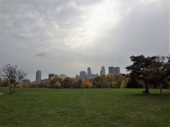 Trees and grass against sky