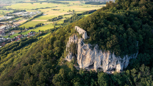 High angle view of trees on landscape