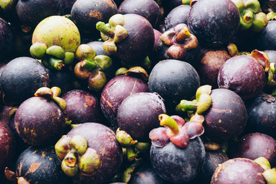 High angle view of grapes