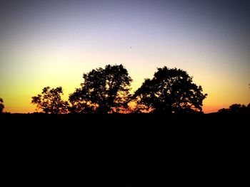 Silhouette trees against clear sky during sunset