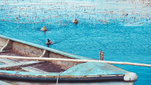 High angle view of people swimming in pool