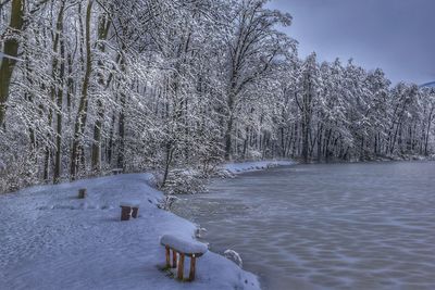 Bare trees on snow covered landscape against sky