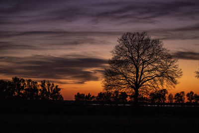 Silhouette bare trees on field against sky during sunset