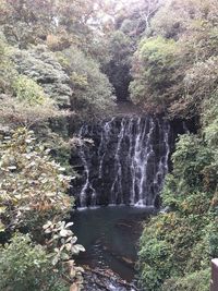 Scenic view of waterfall in forest