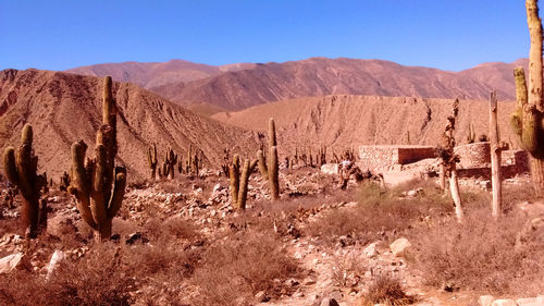 Panoramic view of desert against sky