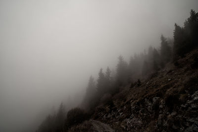 Scenic view of foggy forest against sky during winter