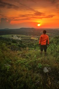 Rear view of man standing amidst plants on mountain against sky during sunset