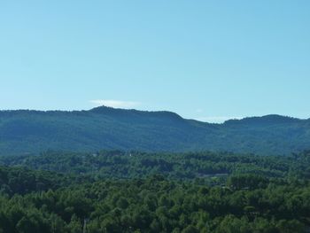 Scenic view of vineyard against clear blue sky