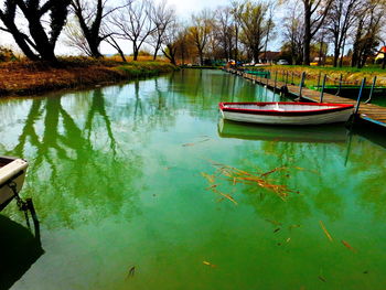 Reflection of trees in water