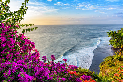 Close-up of flower tree by sea against sky