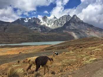 Scenic view of mountains against sky