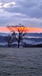 Bare tree against sky during sunset