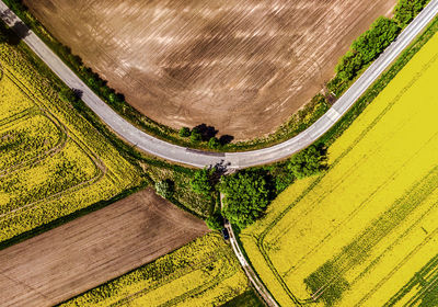 High angle view of agricultural field