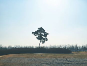 Scenic view of land against clear sky