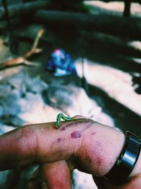 Close-up of insect on hand