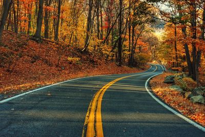 Road passing through forest during autumn