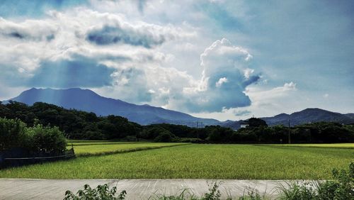 Scenic view of field against sky