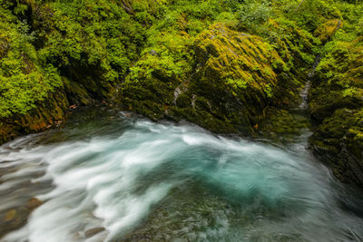 Water flowing through rocks in forest