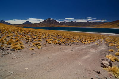 Scenic view of desert against sky