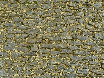 Full frame shot of weathered wall