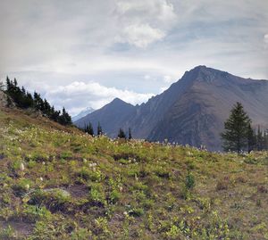 Scenic view of landscape and mountains against sky