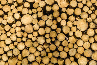 Full frame shot of logs