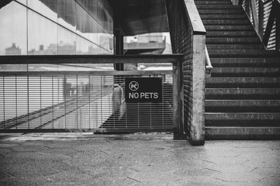 Information sign stating no pets on staircase in city