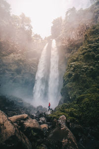 Scenic view of waterfall in forest