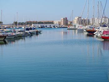 Sailboats moored in harbor