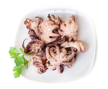 High angle view of octopus in plate on white background