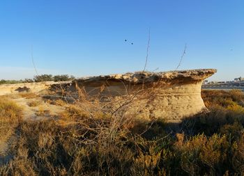 Scenic view of field against clear blue sky