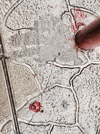 Low section of person with umbrella on asphalt