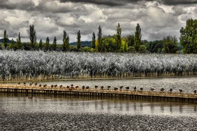 Scenic view of lake against cloudy sky