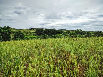 Scenic view of field against cloudy sky